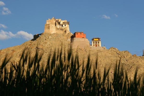 Kloster Tsemo, Leh