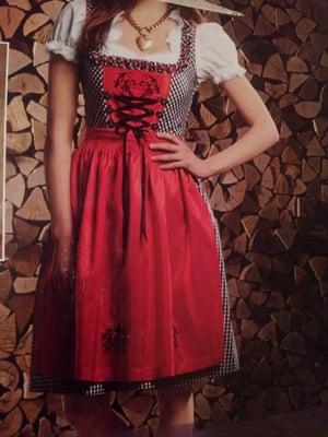 Dirndl bestickt, Gr. 42/44, Fr. 37.-