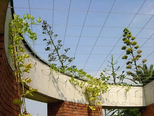 夢の島熱帯植物館（東京都） ：2008年5月設置；ターンバックル（スパイラルワイヤー仕様）