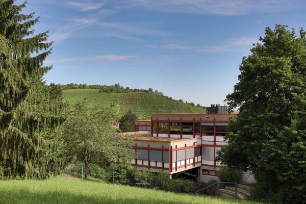 Steinenbergschule Stuttgart Hedelfingen - Schule und Schulalltag