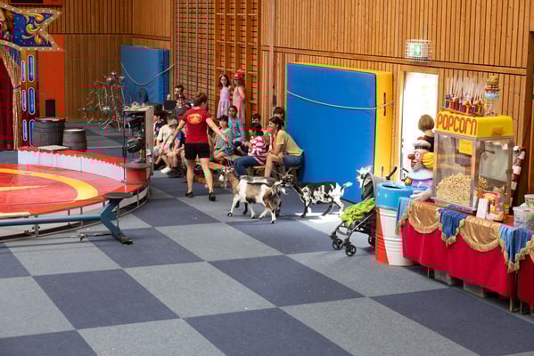 Das Zirkusprojekt in der Steinenbergschule in Stuttgart-Hedelfingen