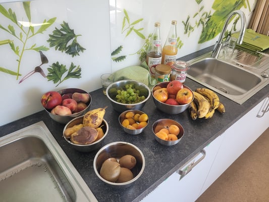 Die Qual der Wahl - Was kommt in unsere Smoothies?