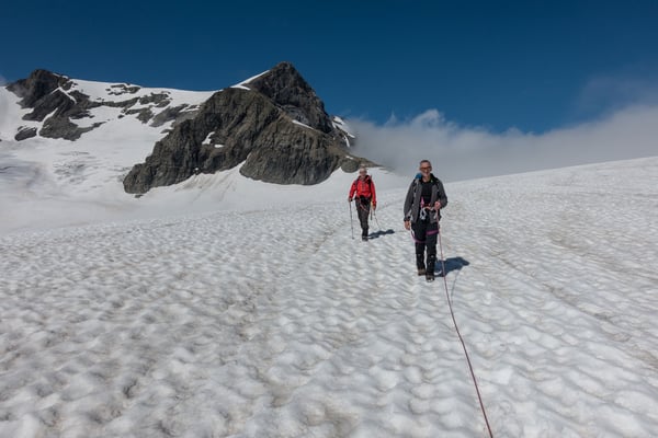 Schärhorn und tschüss