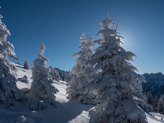 ...  in der nächsten Woche ist noch eine vergleichbare Ladung Schnee versprochen