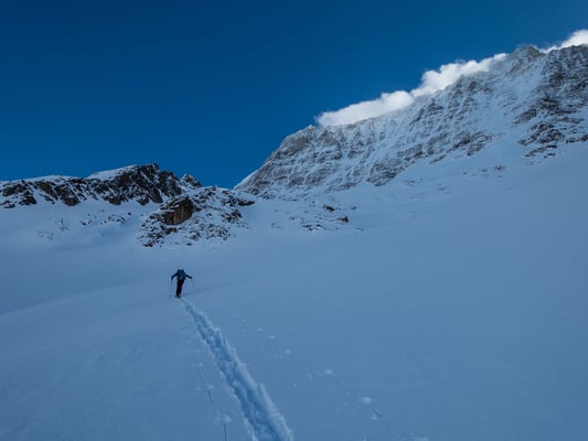 Szenenwechse! Nach zwei Std. Spuren gebe ich diese Aufgabe an Bruno weiter. Wir sind irgendwo unter grossen Wänden im Lötschental unterwegsl