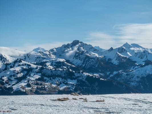 Welch eindrückliches Panorama: Doldenhorn, Spillgerte, Balmhorn, Altels, das kecke Chörbelihore und rechts abschliessend das Albristhorn