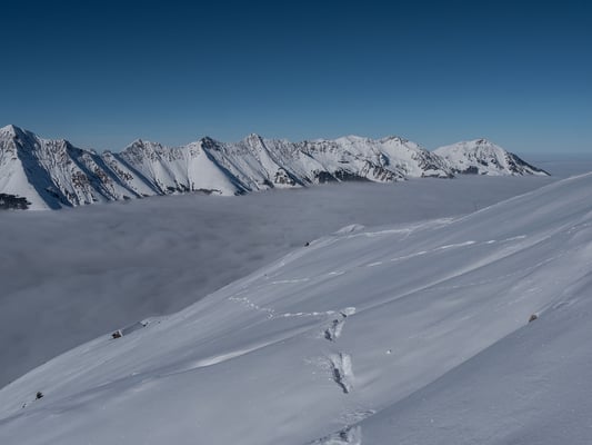 Erst am Gipfel sind mir zwei Gämsen zuvorgekommen, auch sie scheinen sich mit ihren Srüngen am Schnee zu freuen