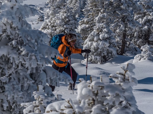 ...zuviel versprochen?