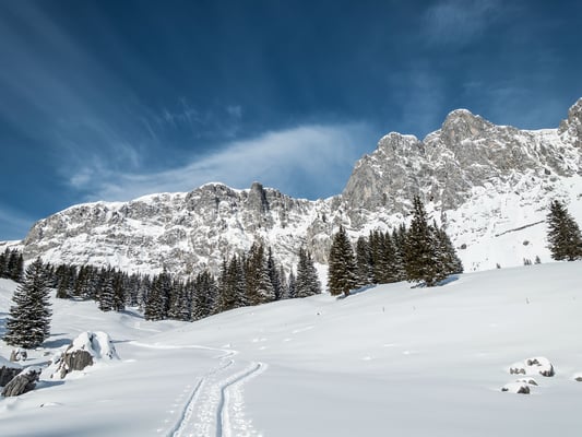 14. Februar, Traumtag im Diemtigtal mit 30 cm Pulverschnee
