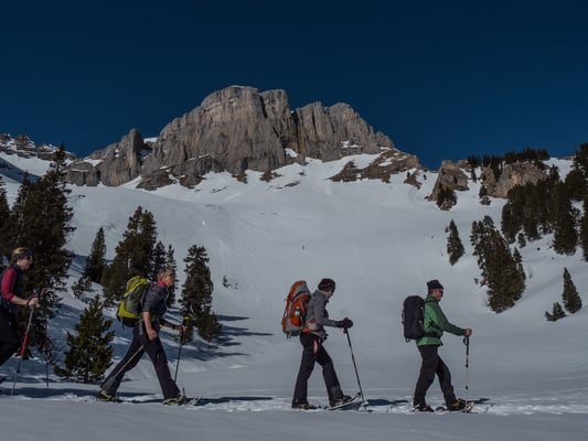 Am Fusse des Hohgant