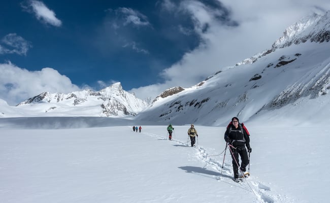 Der Wind ist unser ständiger Begleiter, aber ohne Nordwind keine Aufhellungen, das wissen wir schon seit 20 Jahren...