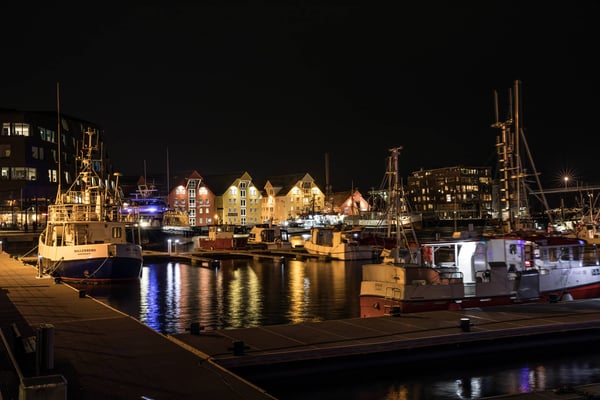 Am Hafen legen Fischerboote und ganz in der Nähe die grösseren Hurtigruten- Schiffe an