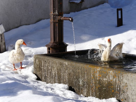 Und nun ab in die Dusche!