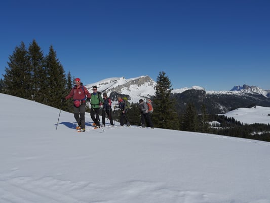 Unsere Gruppe und der Hohgant im Blickfeld der Fotografin