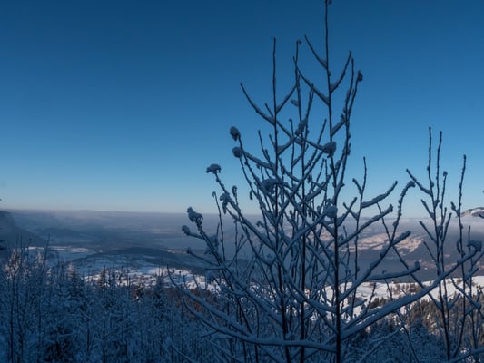Wir geniessen die länger werdenden Schatten und nehmen das stimmungsvolle Licht mit auf den Nachhauseweg