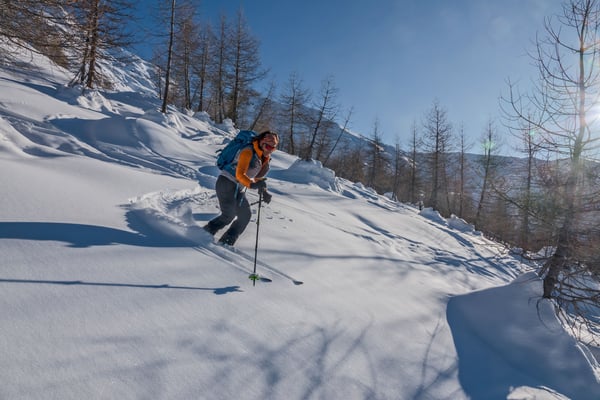 Franziskas Spezialität, frei stehende Lärchen umkurven