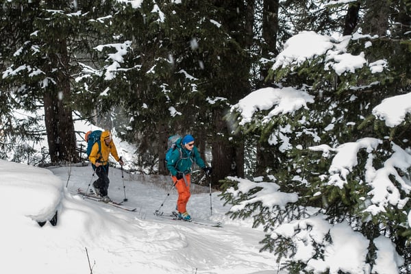Tags darauf gibt es Powdernachschub, hier im Aufstieg durch den Peilerwald Richtung Ampervreilhorn