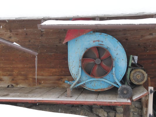 Farbtuber an einem schwarz grau weissen Tag