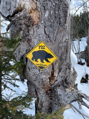 Hier bin ich wirklich im Bärencounty angekommen. Samstag, tolles Wetter, super Schnee und keine Menschenseele, den ganzen Tag lang