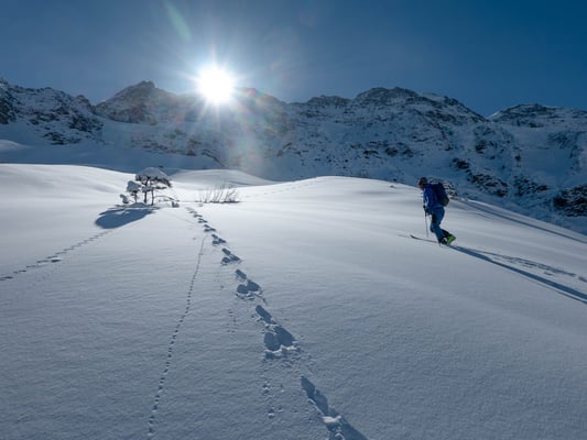 Ob sich hier Füchse und Hasen" Gute Nacht" zurufen?