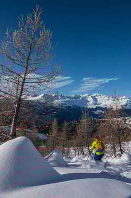 Lustige Schneekegel haben sich um die Lärchenstämme gebildet, im Hintergrund Bietschhorn und Aletschhorn