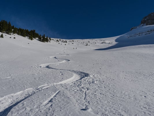 Ein Tiefschneetraum der Extraklasse, nur die untersten Hänge erfordern eine vorsichtige Routenwahl