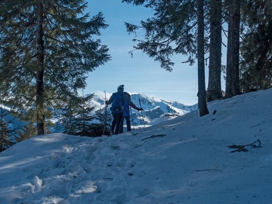 Eines vorweg, auf  1400 Meter liegt genug Schnee für interessante Schneeschuhtouren. Am Jaunpass hat der Sturm vom vergangenen Sonntag seine Spuren im Schnee hinterlassen
