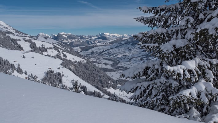 Montag 18. Januar, das Kandertal im Winterkleid. Ein Prachtstag mit Blick zum Niederhorn und der Brienzer Rothorn Kette. Im Vordergrung links die Hänge von Zismas, vielleicht unser Ziel von morgen?