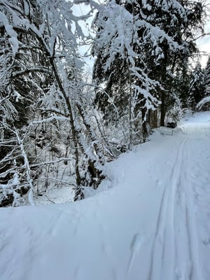 Der erste Lichtblick schon beim Tourenstart, für Einheimische ist diese Linie kein Neuland mehr
