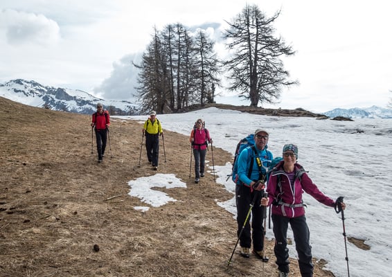 Kampf der Jahreszeiten, noch werden die braunen Gräser ein paar Mal gedeckt, bevor der Frühling auf dieser Höhe die Vorherrschaft gewinnt