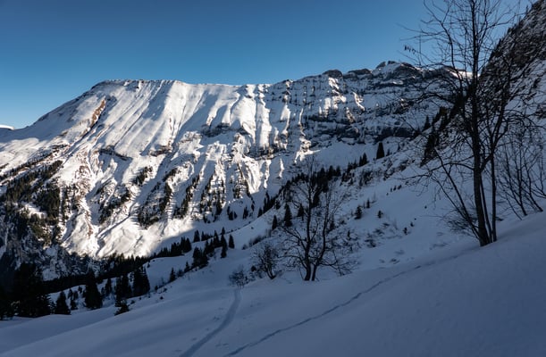 Von unserem Top haben wir eine gute Sicht auf die dürftig verschneite Westflanke der Sulegg. Noch kein Thema für einen Powderalarm Schilthorn- Saxeten