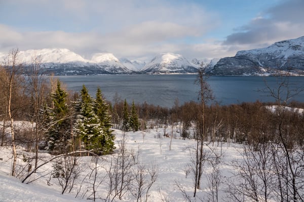 Zwei Tage später erhaschen wir sogar eine Stunde Sonnenschein und müssen dabei eingestehen, die hügeligen Kuppen hauen uns nicht aus den Socken