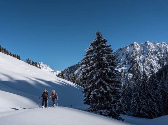 So stellen wir uns Schneeschuhträume vor. Powder, stahlblauer Himmel, mal eine Spur hier, und mal eine da...