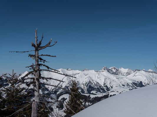 Doch zuerst ist der Brenlaires unser Ziel. Kurz unter dem höchsten Punkt erblicken wir die Gipfelkette um den Vanil Noir