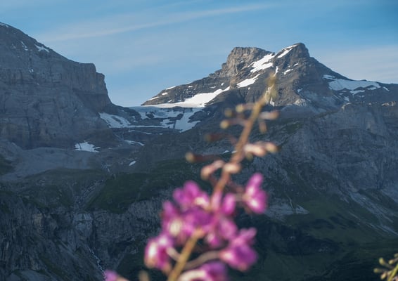 /.52, kurz vor dem Klausenpass. Das Schärhorn spürt noch nichts von der Schlechtwetterfront