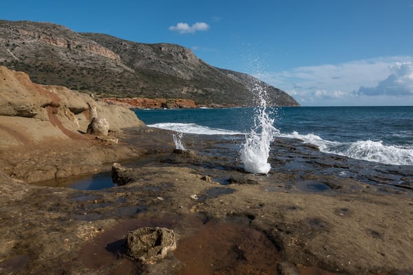 Wir besuchen den versteinerten Palmenstrand und staunen über die Fontänen, welche bei jeder zweiten Welle aus dem Fels gepustet werden