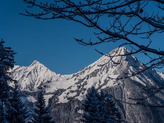 Ausgangspunkt zu unserem Ausflug in den Schnee ist der Geissbode oberhalb reichenbach auf 1266 M.ü.M.Schon kurz nach dem Start geniessen wir einen prächtigen Ausblick auf den Niesen und Fromberghore