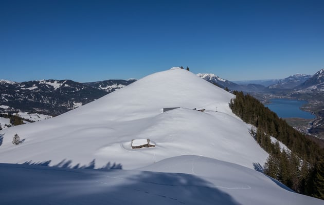 Ein paar Wildtierspuren und sonst unberührte Weite. 