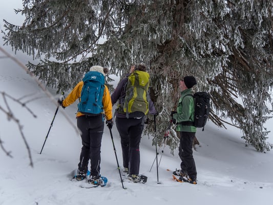 Was verstekt sich da oben am Lawinenzug?