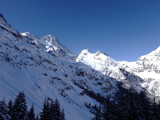 Lauterbrunner Breithorn und Tschingelhorn geben einen Anhaltspunkt über unseren Ausflug
