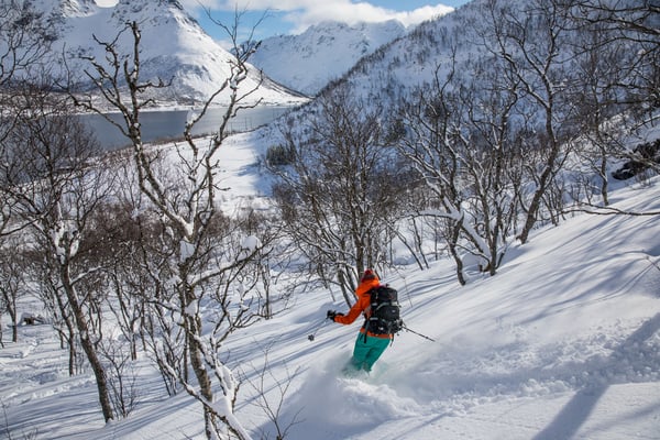 Aber auch Conny wedelt sich ganz elegant durch den Birkenwald