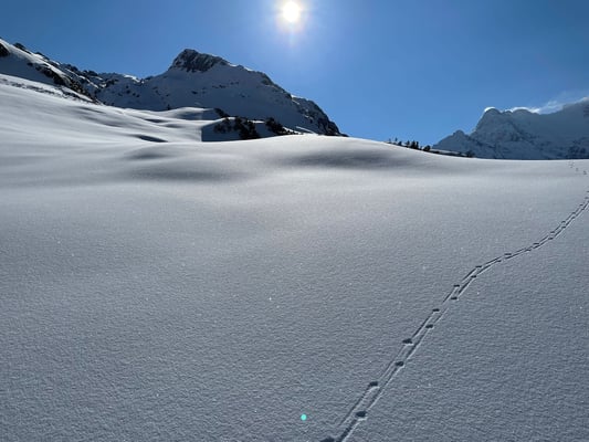 Offene Weite wechslt sich mit schmalen Rinnen ab, das wird ein Traum zum fahren