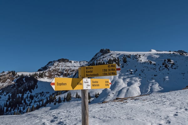 Prächtiges Schneeschuhgelände führt zur Standflue empor