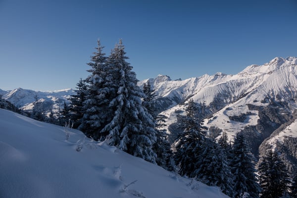 Links der Tannengruppe der Fitzer und das Wildhorn, auf der rechten Seite Albristhorn, Gsür, Bodezehore, Drümännler, Wyssi Flue, Erbithore, Winterhore und Männliflue