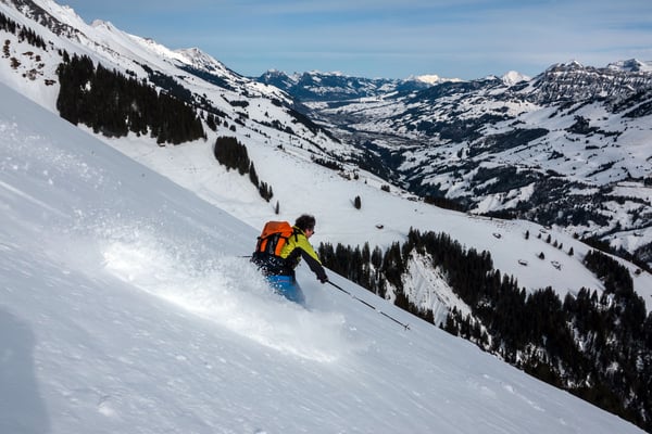 In tieferen Lagen finden wir heute den erhofften Powder 