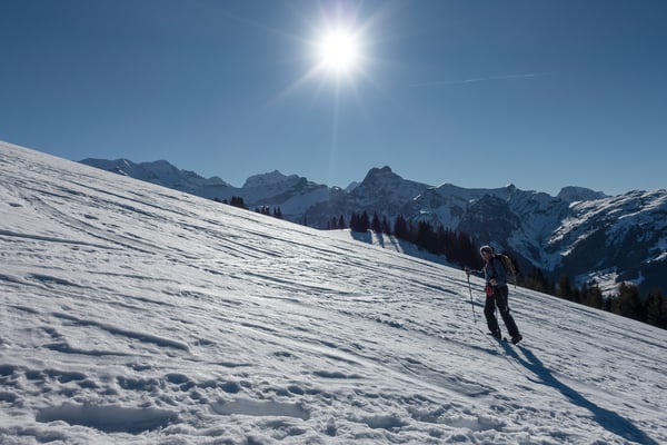...während visavis doch noch ein Hauch von Winter spürbar ist. Blüemlisalp, Doldenhorn, Ärmighore, rechts der Giesigrat
