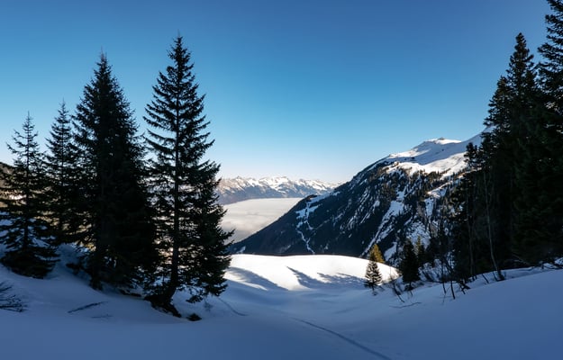 Eine Freude, hier die eigene Spur anzulegen