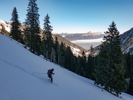 Keine Frage, diese Hänge könnten wir noch ein paar Mal aufsteigen, am Schluss kämen 1200 Meter oder 1500 Meter allererste Powdersahne zusammen