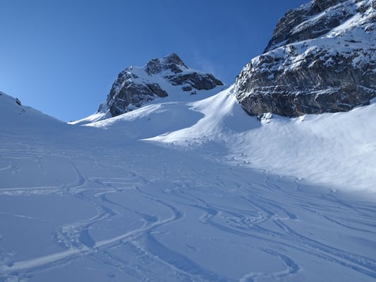Da waren am Wochenende wohl ein paar Artgenossen im Feld