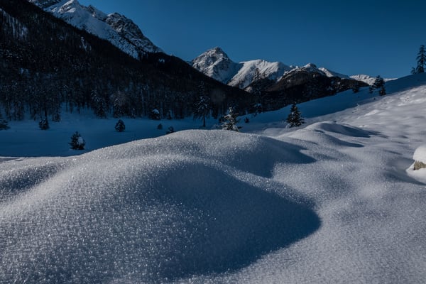 Oberflächenreif am 29.12. oberhalb von Tarasp